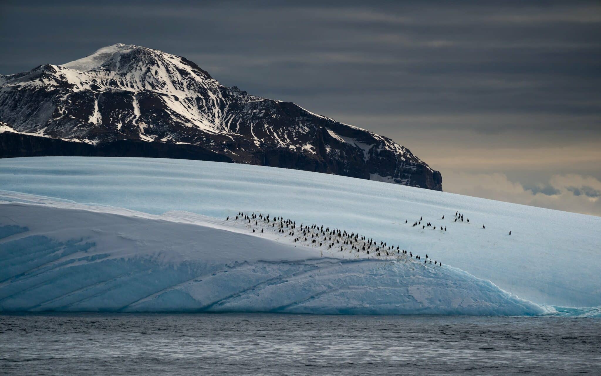 Glacier with penguins