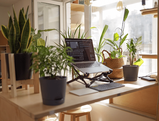 Laptop surrounded by houseplants, creating a healthy work enviroment