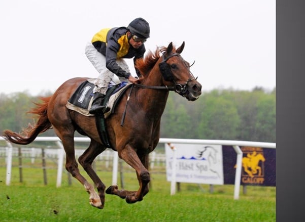 Jockey riding horse in a race